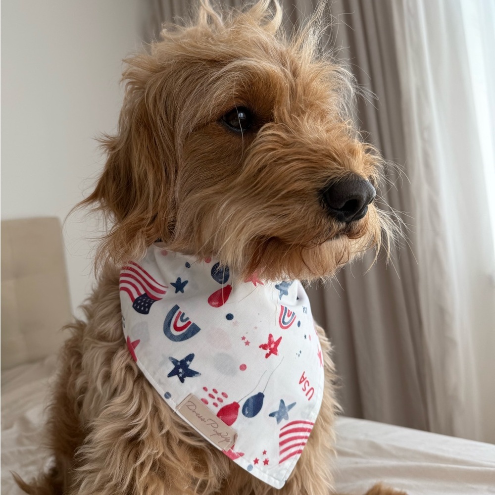 Patriotic Dog Bandana - Picture 3 of 7